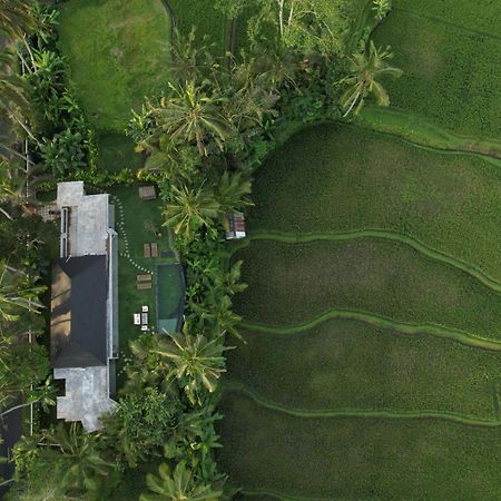 Hatiku Di Bali - Ubud Tegallalang (Bali) Exterior foto